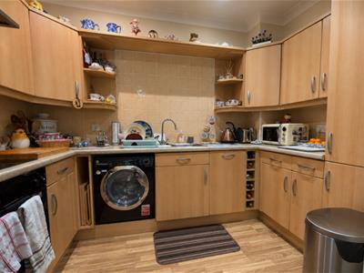 Picture 7